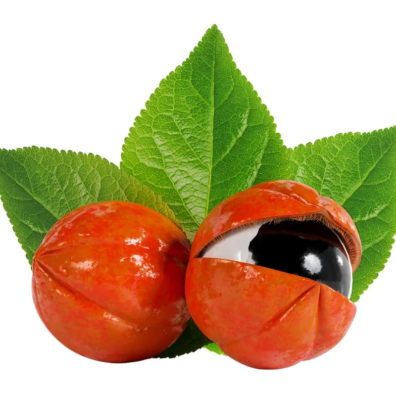 Guarana fruit with its dark seed and green leaf